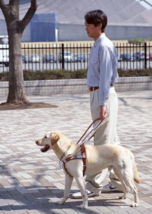 信頼のおける内科クリニックについて
